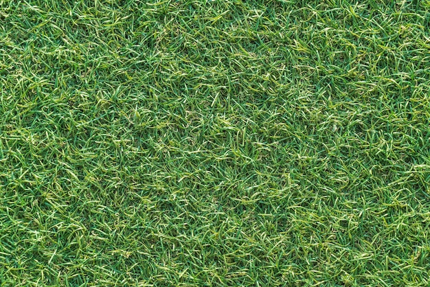 Leeren Gras Hintergrund