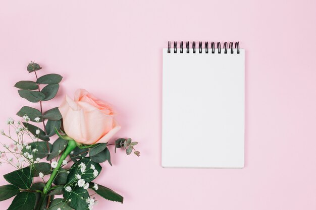 Leerer gewundener Notizblock mit rosafarbener und gypsophila Blume gegen rosa Hintergrund