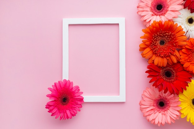 Leerer Rahmen mit Gerberagänseblümchenblumen