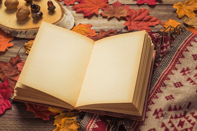 Leeres Buch nahe Nüssen und Decke auf Blättern