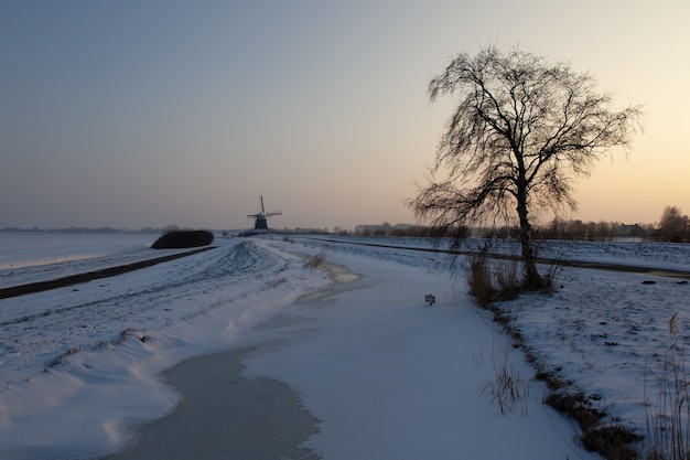 Leeres Schneefeld mit einem Baum und Windmühlengebäuden in der Ferne