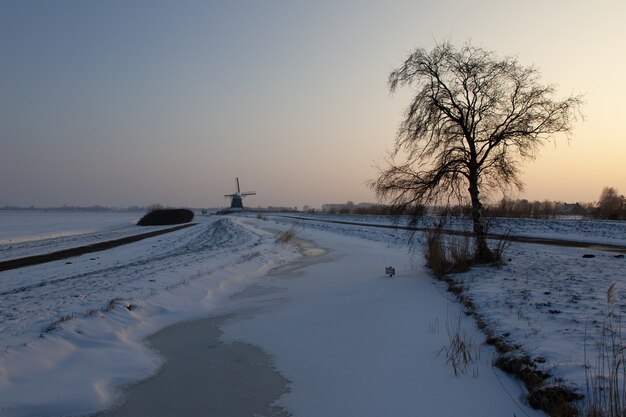 Leeres Schneefeld mit einem Baum und Windmühlengebäuden in der Ferne