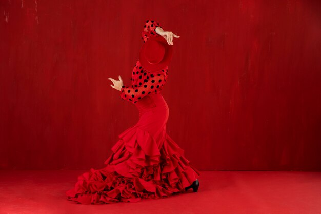 Leidenschaftliche und elegante Flamenco-Tänzerin