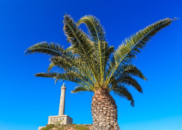 Leuchtturm cabo de palos sommeransicht und palme vor blauem himmelshintergrund (cartagena, murcia, spanien).