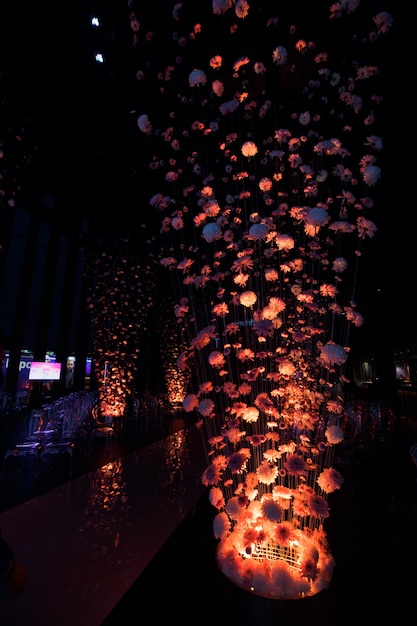 Licht leuchtet von unterhalb der Stiche mit Knospen von Chrysanthemen