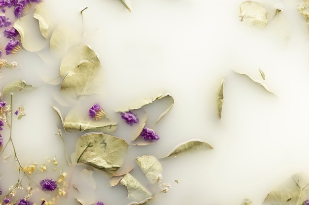 Kostenloses Foto lila blüten in weiß gefärbtem wasser