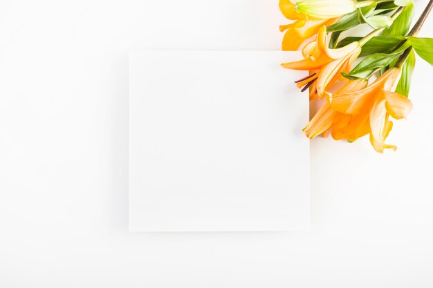 Lilien nahe Papierblatt