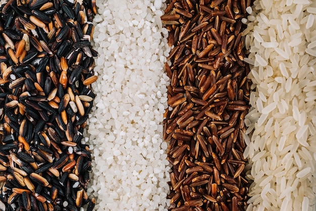 Linien von sortiertem Reis