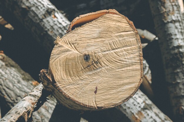 log abstrakte braune Farbe erneuerbare