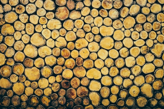 Log Holz