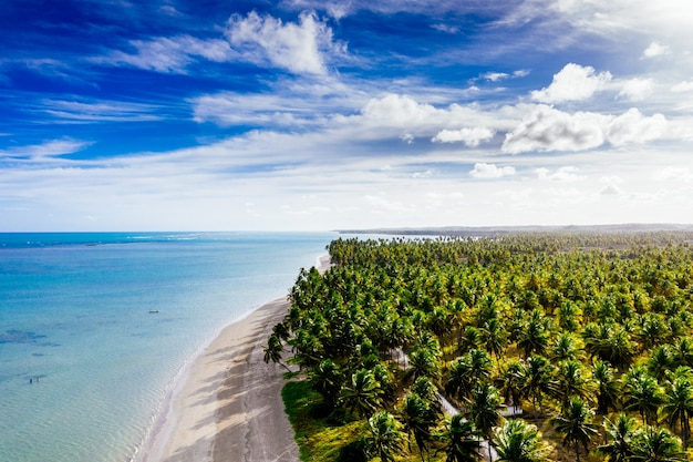 Long Shot einer schönen Küste mit weißem Sand, gesäumt von Kokospalmen an einem sonnigen Tag