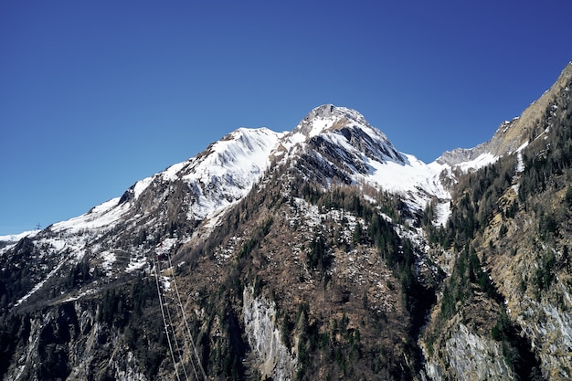 Low Angle Shot eines Tocks mit Schnee an der Spitze und am Himmel