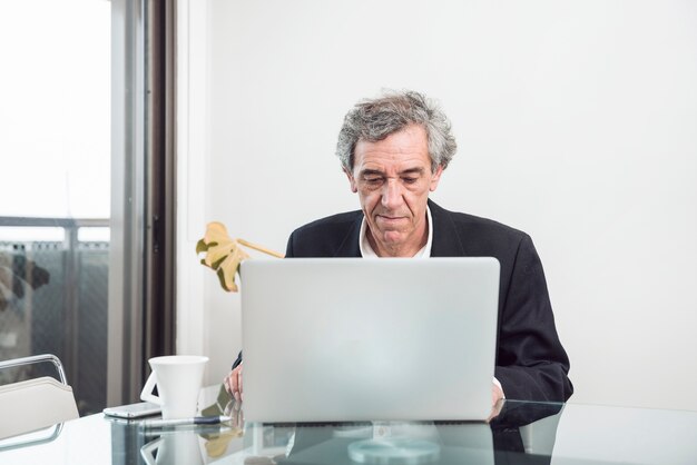 Älterer Geschäftsmann unter Verwendung des Laptops im Büro