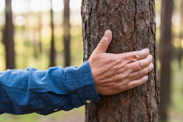 Älterer Mann, der Baum beim Rucksackwandern hält