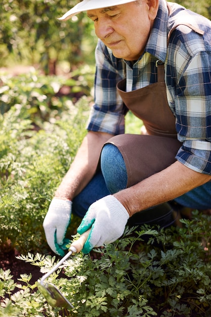 Älterer Mann, der im Feld arbeitet