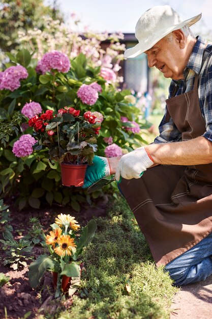 Älterer Mann, der im Feld mit Blumen arbeitet