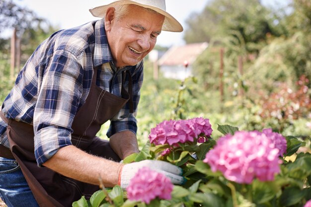 Älterer Mann, der im Feld mit Blumen arbeitet