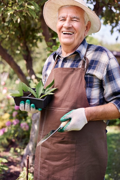 Älterer Mann, der im Feld mit Blumen arbeitet