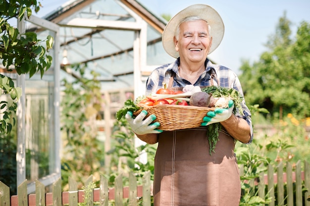 Älterer Mann, der im Feld mit einer Kiste des Gemüses arbeitet