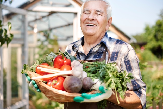 Älterer Mann, der im Feld mit einer Kiste des Gemüses arbeitet