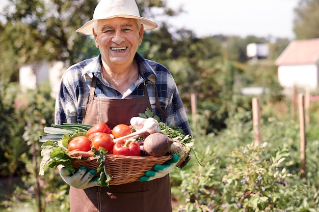 Älterer Mann, der im Feld mit einer Kiste des Gemüses arbeitet