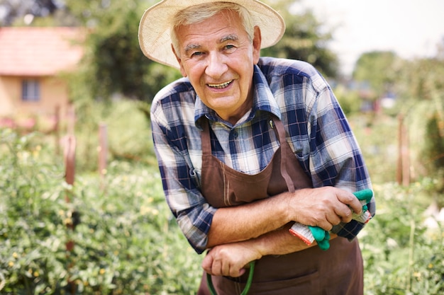 Älterer Mann, der im Feld mit Früchten arbeitet