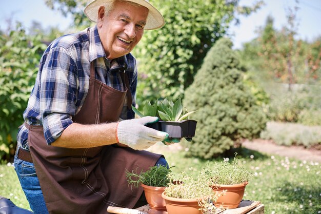 Älterer Mann, der im Feld mit Pflanzen arbeitet