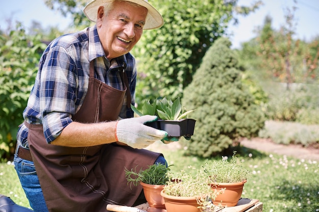 Älterer Mann, der im Feld mit Pflanzen arbeitet