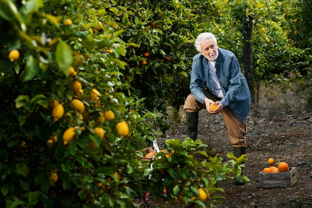 Älterer Mann, der neben seinen Orangenbäumen steht