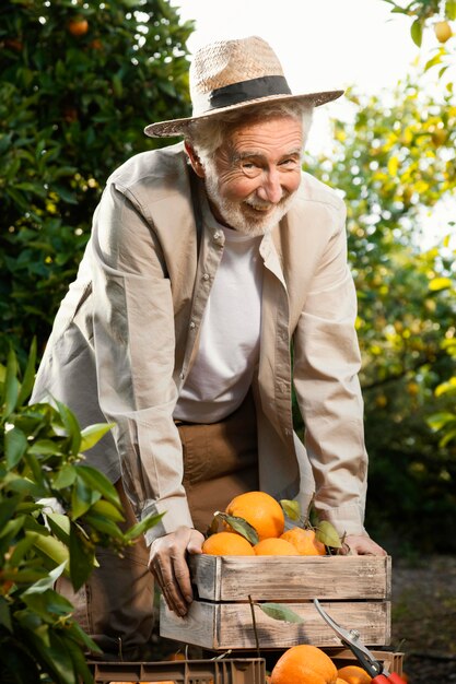 Älterer Mann in der Orangenbaumplantage