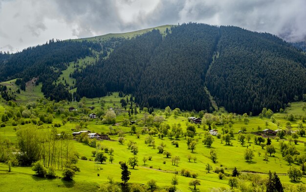 Luftaufnahme der Dorfhäuser auf den schönen grasbedeckten Feldern