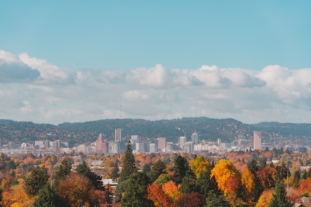 Luftaufnahme der Gebäude und Bäume im Herbst