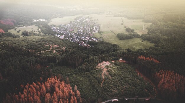 Luftaufnahme der ländlichen Häuser inmitten des dichten Waldes