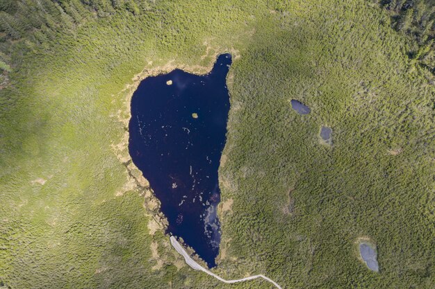 Luftaufnahme des Ribnica-Sees, umgeben von einem Feld in Slowenien
