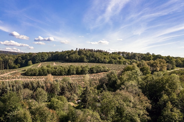 Luftaufnahme einer Berglandschaft bedeckt mit Bäumen