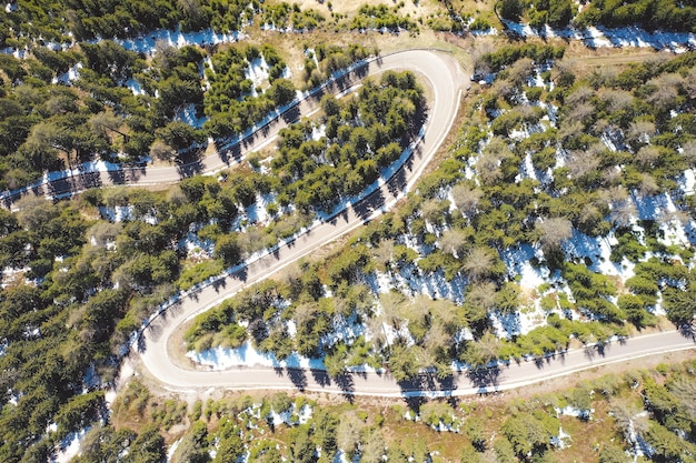 Kostenloses Foto luftaufnahme einer kurvigen straße, die durch einen schönen wald geht