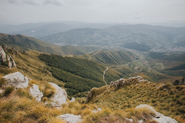 Luftaufnahme einer Landstraße, die durch die Bäume und Berge führt