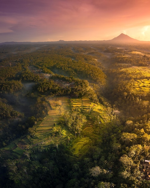 Luftaufnahme einer Reisterrasse unter dem Sonnenlicht am Abend in Gianyar, Bali, Indonesien