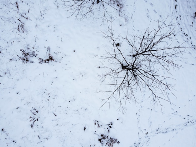 Kostenloses Foto luftaufnahme einer schneebedeckten oberfläche