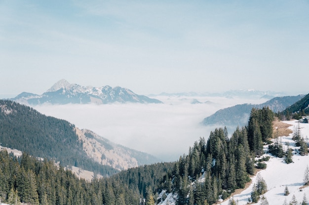 Luftaufnahme einer schönen Bergkette, die mit Schnee und grünen Tannenbäumen bedeckt ist