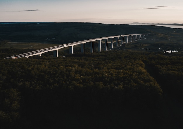 Luftaufnahme einer Stahlbogenbrücke, die in einem Wald gebaut wurde