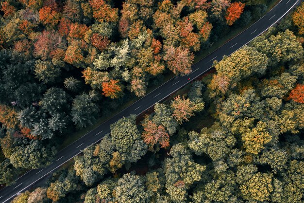 Luftaufnahme einer Straße, die von Bäumen in einem Wald umgeben ist