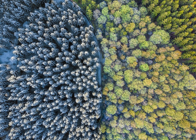 Luftaufnahme eines bunten Waldes und eines Waldes bedeckt im Schnee unter Sonnenlicht