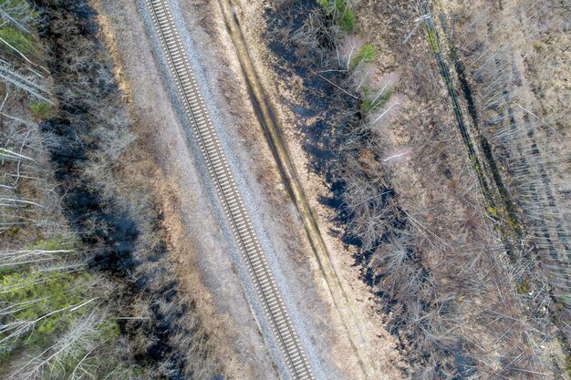 Luftaufnahme eines dichten Waldes mit kahlen Herbstbäumen und einer leeren Eisenbahnstrecke