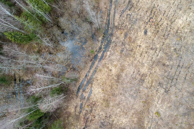 Luftaufnahme eines dichten Waldes mit kahlen Winterbäumen und abgefallenen Blättern auf einem Boden