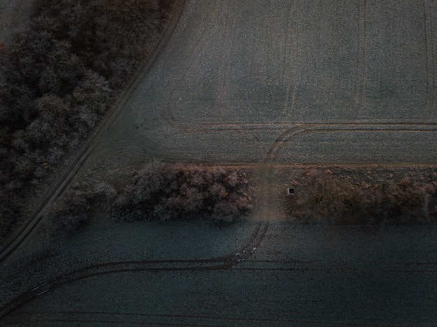 Luftaufnahme eines Farmfeldes mit Spuren