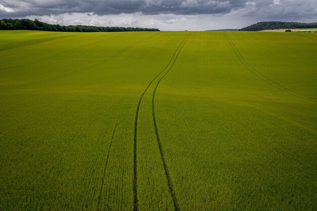 Luftaufnahme eines Graslandes unter während eines bewölkten Wetters