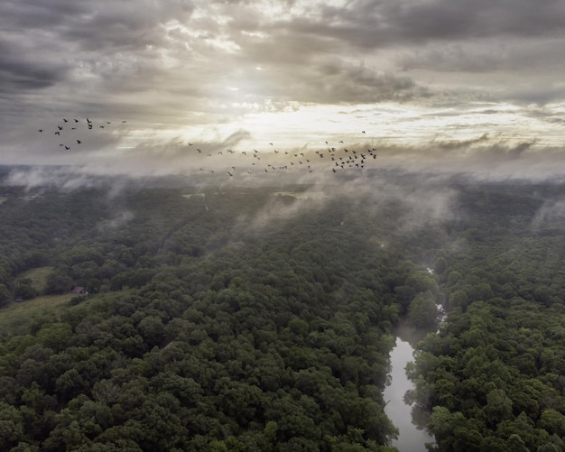 Luftaufnahme eines grünen Waldes mit dichten Bäumen und einem kleinen Fluss an einem nebligen Tag