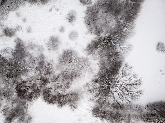 Luftaufnahme eines schneebedeckten Bodens mit blattlosen Bäumen