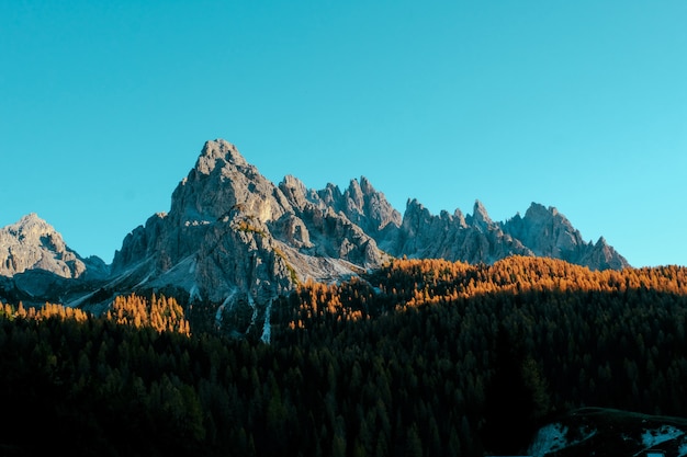 Luftaufnahme von grünen Bäumen auf Hügeln und Berg in der Ferne mit blauem Himmel